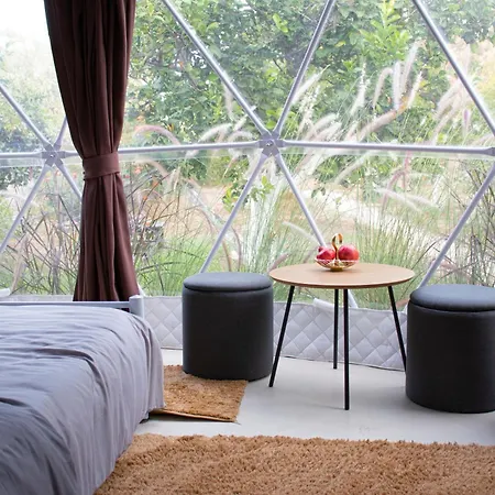 Kemp Lemon Tree Dome House *
