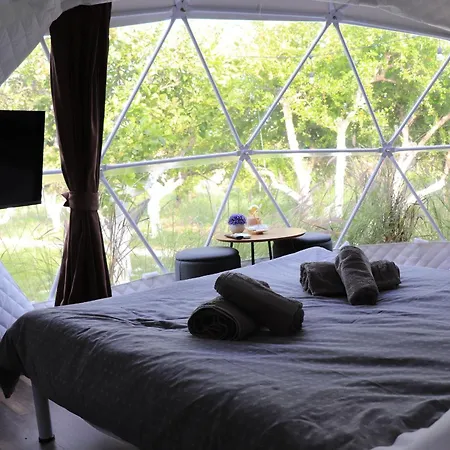 Kemp Lemon Tree Dome House *